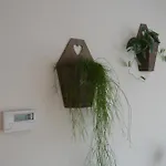 公寓 维尔卡公寓 巴尔洛