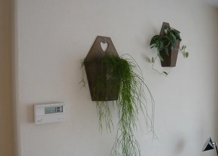 Daire Welca Baarlo (Limburg)